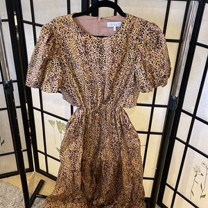 Cheetah Print Maxi Dress